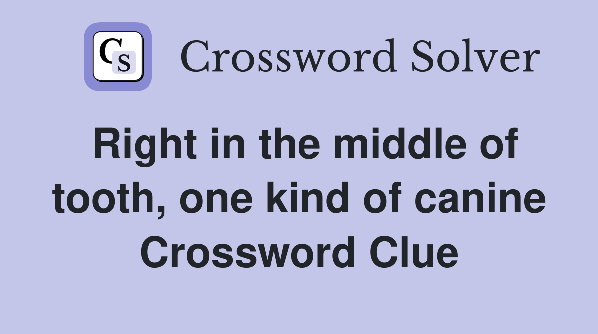 Right in the middle of tooth one kind of canine crossword clue